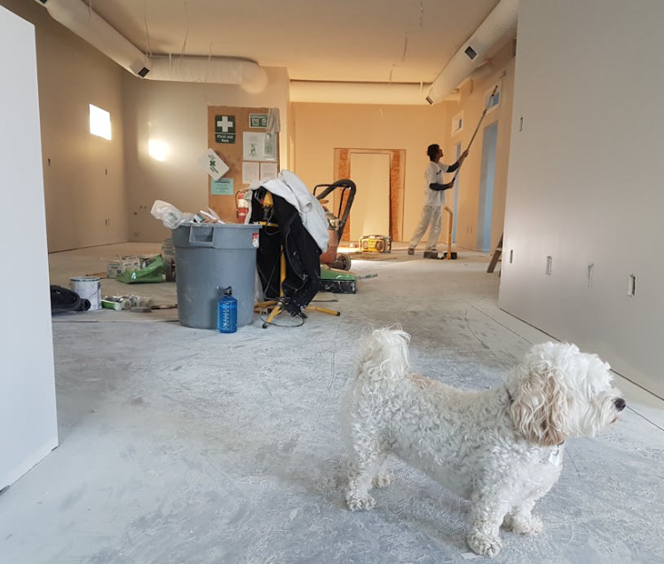 Smart Design & Build: What to Expect When Doing a Full Renovation